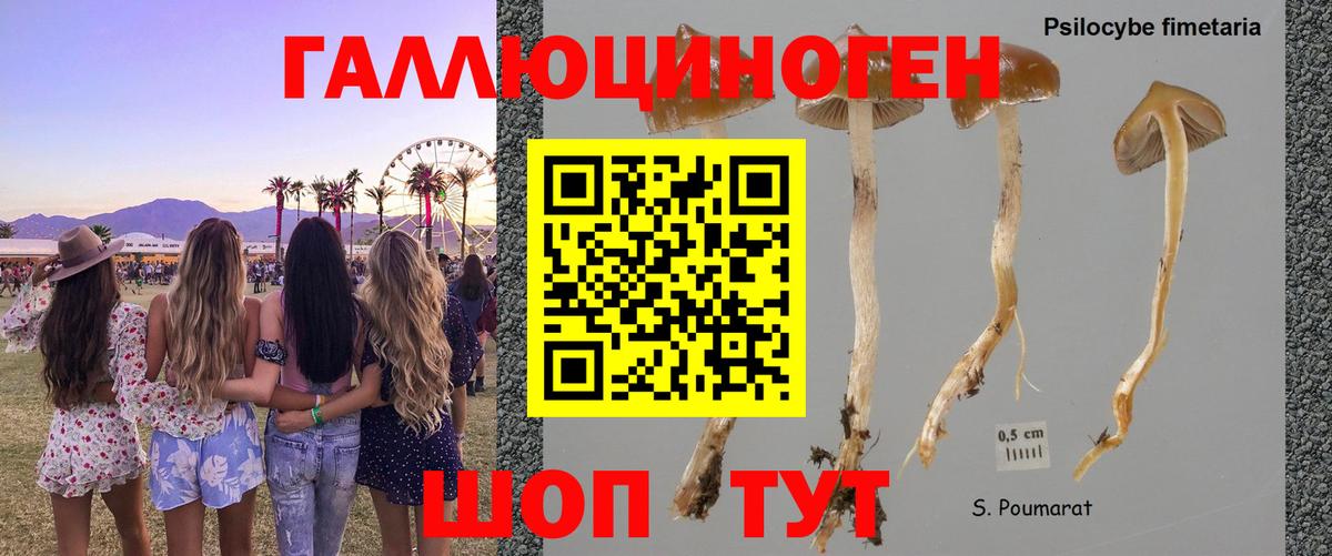 Псилоцибиновые грибы ЛСД  Вход с VPN  Псилоцибиновые грибы Magic Shrooms  Краснотурьинск 